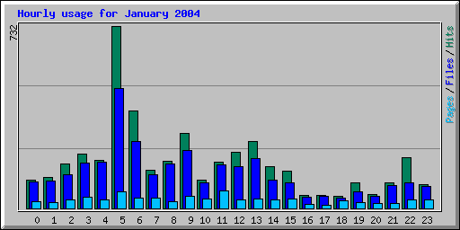 Hourly usage for January 2004