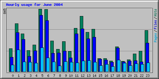 Hourly usage for June 2004